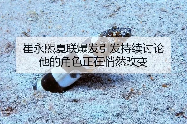 崔永熙夏联爆发引发持续讨论 他的角色正在悄然改变